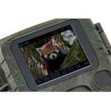 Technaxx TX-117 Draadloze Mini Wildcamer - Beveiligingscamera FullHD 1080p met Displa