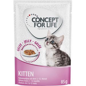 Sparpaket Concept for Life 48 x 85 g -  Kitten in Gelee