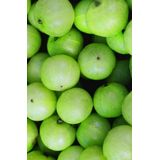 Khadi - Hair Oil - Strong Amla - 50ml