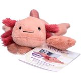 Warmies - Axolotl - Magnetronknuffel - 1 Stuks