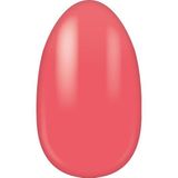 Miss Sophie - Nagelfolies - Coral Crush - Dierproefvrij - 2 Weken