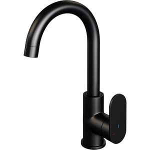 Brauer BlackEdition Wastafelmengkraan opbouw - hoog - draaibaar - ronde uitloop - model C - mat zwart 5-S-003-R1