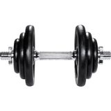 tectake - Dumbbell verchroomd 20 kg - 402365