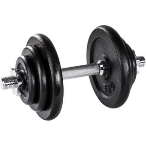 tectake - Dumbbell verchroomd 20 kg - 402365