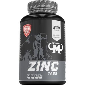 Zinc Tabs (240) Standard