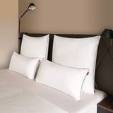 Blumtal Hoofdkussen Slaapkussen 950 g Aanpasbare vulling % microvezel Set van 2 Met Bies