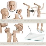 Etalagepop - Heren - Demonteerbaar - Natuurlijke Houding - Levensechte Verhoudingen