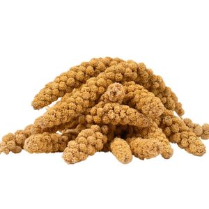 15 kg Lyra Pet® Kolbenhirse gelb