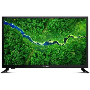 Dyon Voer 24Pro X2 in (24"", LCD, HD), TV, Zwart