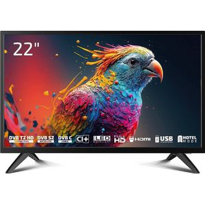 Dyon Enter 22 PRO X2 LED-Fernseher (55 cm/22 Zoll, Full HD)