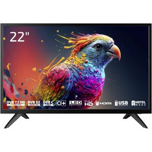 DYON Enter 22 Pro X2 Full-HD Fernseher - 22 Zoll