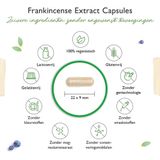Frankincense Extract - 180 Capsules - Premium: 85% Boswellia Zuur - Hooggedoseerd met 1000 mg per dagelijkse dosis - Echte Indiase Boswellia Serrata - Veganistisch