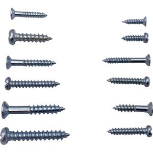 Quadrios 2109SA047 2109SA047 Plaatschroeven assortiment 550 stuk(s)