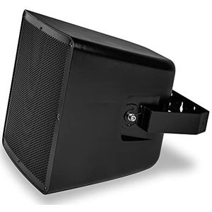 ic audio Luidspreker PRO 250-300 – weerbestendige buitenluidspreker voor spraak en muziek, eenvoudige wandmontage, 250 watt speaker, ideaal voor binnen en buiten, zwart