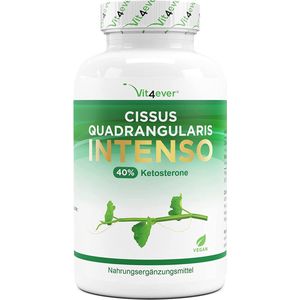 Vit4ever - Cissus Quadrangularis - 180 Capsules - 720 mg Extract - Veganistisch