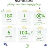 Vit4ever - Nattokinase - Enzymextract - 100 mg per Capsule