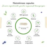 Vit4ever - Nattokinase - Enzymextract - 100 mg per Capsule