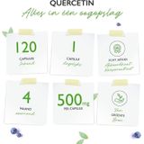 Quercetine - 500 mg - 120 capsules - 4 maanden - Natuurlijk 15:1 snaarboombloemextract met 95% quercetinegehalte - Hoge dosering - Veganistisch