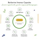 Vit4ever - Berberine Intenso HCL Extract - Antioxidant - 120 Capsules