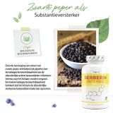 Vit4ever - Berberine Intenso HCL Extract - Antioxidant - 120 Capsules