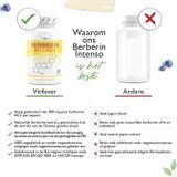 Vit4ever - Berberine Intenso HCL Extract - Antioxidant - 120 Capsules