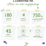 L-Carnitine - 180 veganistische capsules - Hoog gedoseerd met 3000 mg per dagelijkse portie - Premium: 100% L-Carnitine Tartraat zonder toevoegingen - Veganistisch Vit4ever