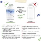 L-Carnitine - 180 veganistische capsules - Hoog gedoseerd met 3000 mg per dagelijkse portie - Premium: 100% L-Carnitine Tartraat zonder toevoegingen - Veganistisch Vit4ever