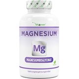 Magnesium bisglycinaat - 240 capsules - Premium: Chelated magnesium - 155 mg elementair magnesium per capsule - Veganistisch - Hoog gedoseerde formule - Vit4ever