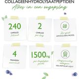 Collageen - 240 capsules - 1500 mg per dagelijkse portie - Premium: 100% rundercollageenhydrolysaatpeptiden van Peptolap Light - Hoge dosis