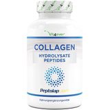 Collageen - 240 capsules - 1500 mg per dagelijkse portie - Premium: 100% rundercollageenhydrolysaatpeptiden van Peptolap Light - Hoge dosis