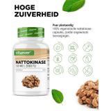 Vit4ever - Nattokinase - Capsules - 365 Stuks - 100 mg