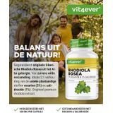 Rhodiola Rosea - Capsules - 500 mg - Extract - 3% Rosavin - 1% Salidroside