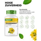 Sint-Janskruidextract - 500 mg - 10:1 Extract - Vit4ever