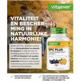 Vit4ever - OPC Plus - Antioxidanten - Druivenpitextract + Vitamine C - Veganistisch