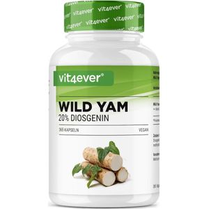Vit4ever - Wild Yam Wortel Extract - Supplement - 365 Vegan Capsules - 880 mg per Capsule