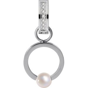 Tamaris - Olivia Ohrring - Dames - TJ049 -  zilver