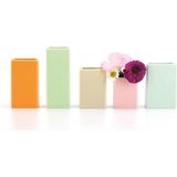 Remember Mini vases - Set of 5