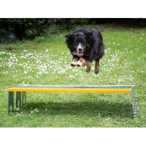 Agility Breedte sprong met paaltjes conform FCI richtlijnen