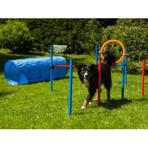 ProCyoN Agility set K2 Tunnel, slalom 4 palen, Horde en springring Agilityset K2