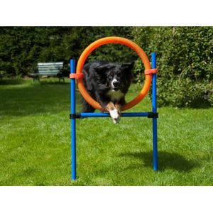 ProCyoN Agility Springring