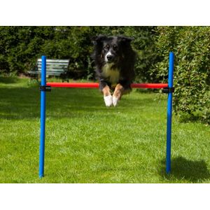ProCyoN Agility Horde 86 cm hoog