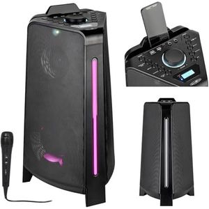 Reflexion PS100BT Bluetooth luidspreker FM radio