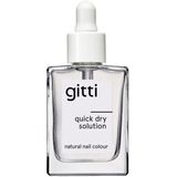 Gitti Quick Dry Solution