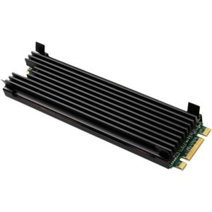 Thermal Grizzly - M.2 SSD Cooler - Zwart - Koelbehuizing met Heatsinks
