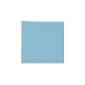 Thermal Grizzly - TG Minus Pad Pro - Warmtegeleidingskussen - 100x100x2 mm