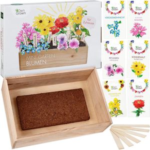 Bloemenzaden kweekset: bloemen mini tuin – 6x bloemen zaden zoals zonnebloemen zaden, houten kist en kweekaarde – bloemenzaden cadeauset
