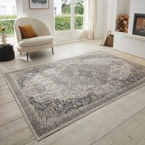 Arte Designer Vloerkleed Laagpolig Luxe Tapijt - Woonkamer Slaapkamer Creme 240x340 Cm
