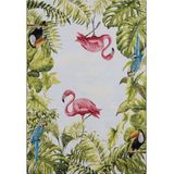 HANSE Home Tropical Birds Tapijt voor binnen en buiten, plat weefsel, flamingo-design, jongel, palmen, weerbestendig, uv-bestendig, voor balkon, terras, tuin, woonkamer, kleurrijk, 80 x 165 cm