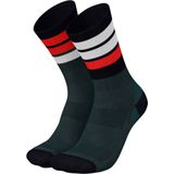 incylence - Merino Strive - Sokken - Blauw Rood