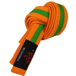 DEPICE Uniseks vechtsportriem voor volwassenen, oranje/groen, 260 cm